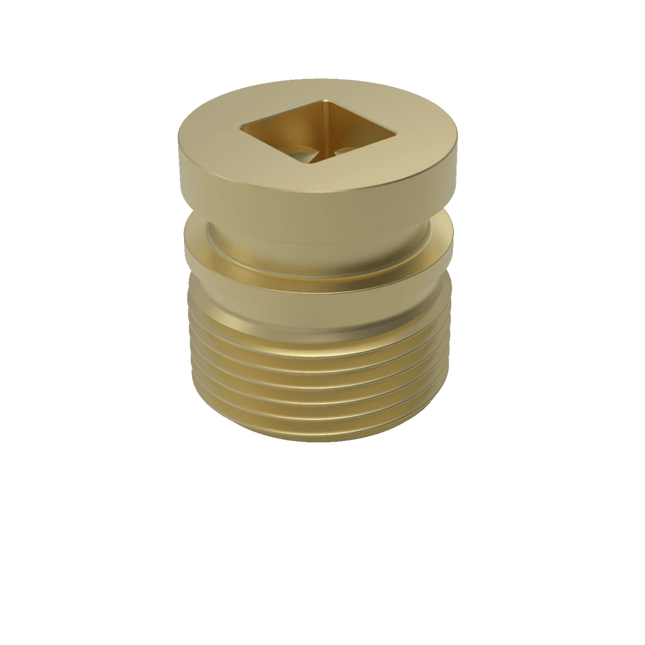 Brass Plug - Pig Popper - Enduro Pipeline Services