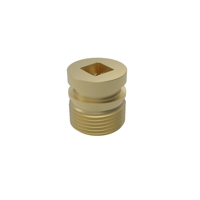 Brass Plug - Pig Popper - Enduro Pipeline Services